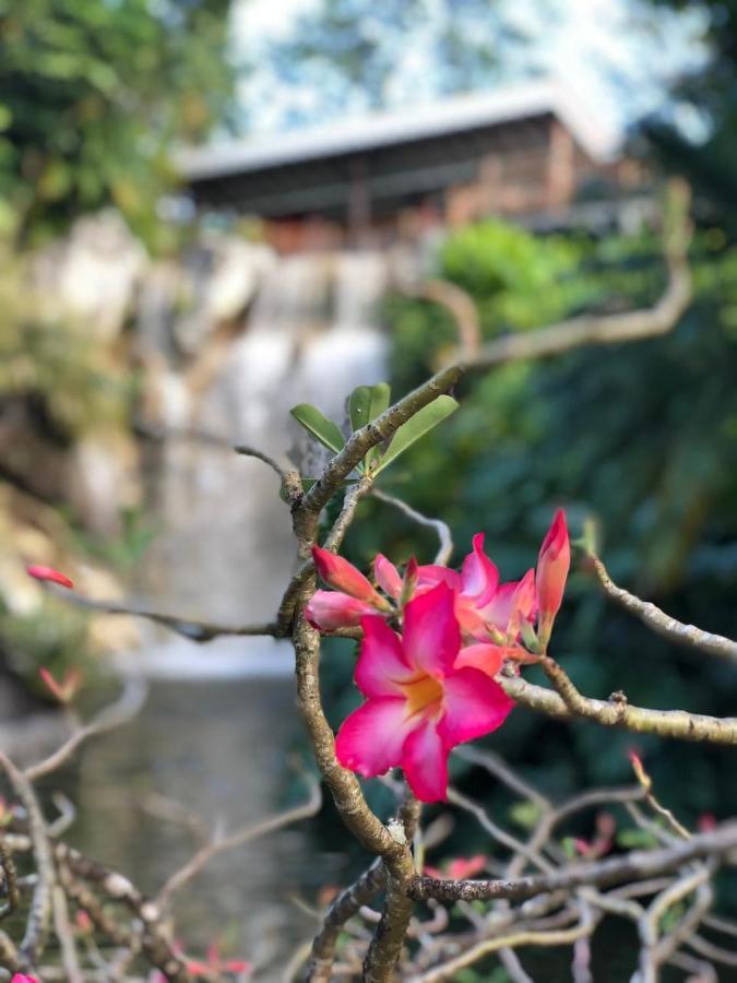Jolie Petite Villa Sur Une Presqu'Ile Le Gosier  Exteriör bild