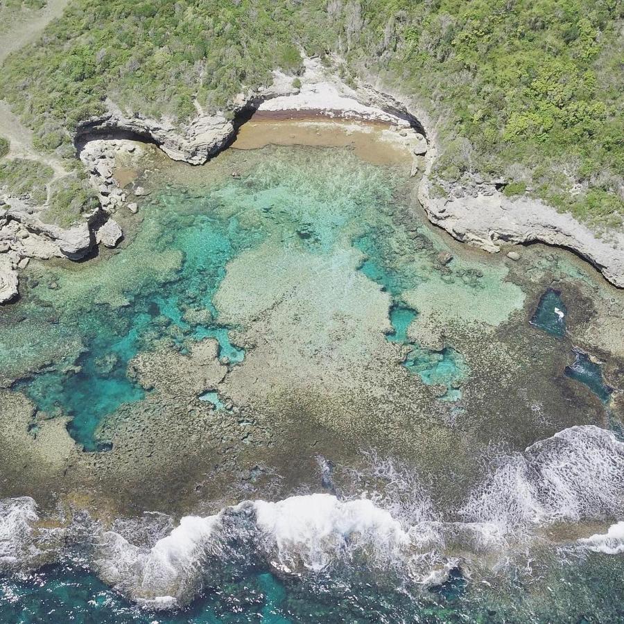Jolie Petite Villa Sur Une Presqu'Ile Le Gosier  Exteriör bild
